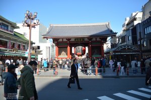 20180110101812_NIKON D7100.jpg